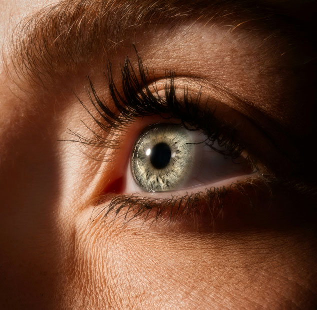 Free trial on all disposable Contact Lenses